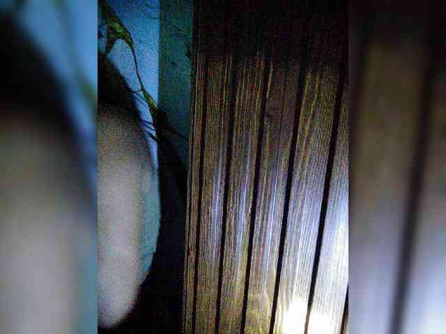 hornylittleprincess69 webcam