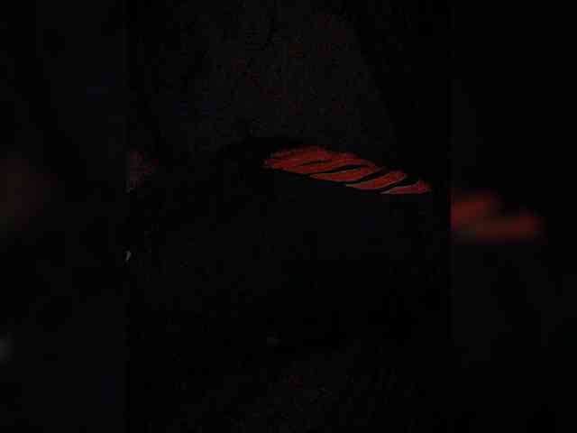 XXhornywetprincess99XX