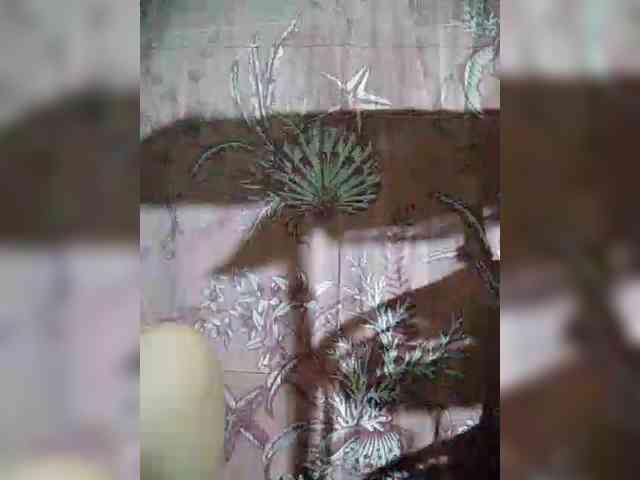 hornylittleprincess69 webcam