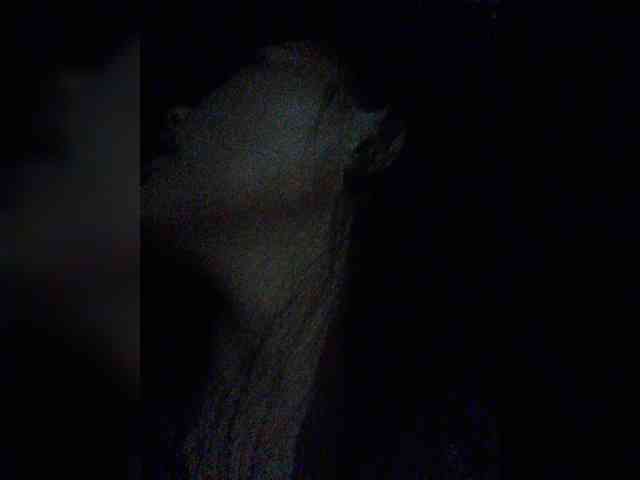 XXhornywetprincess99XX XXhornywetprincess99XX