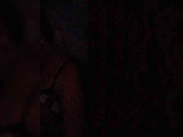 hornylittleprincess69 webcam