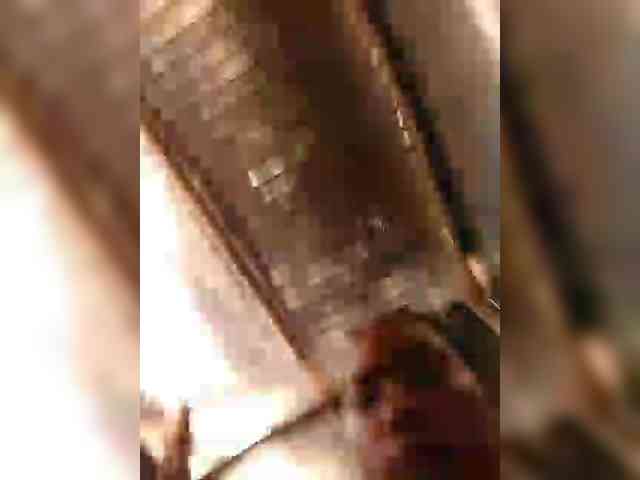 hornylittleprincess69 webcam