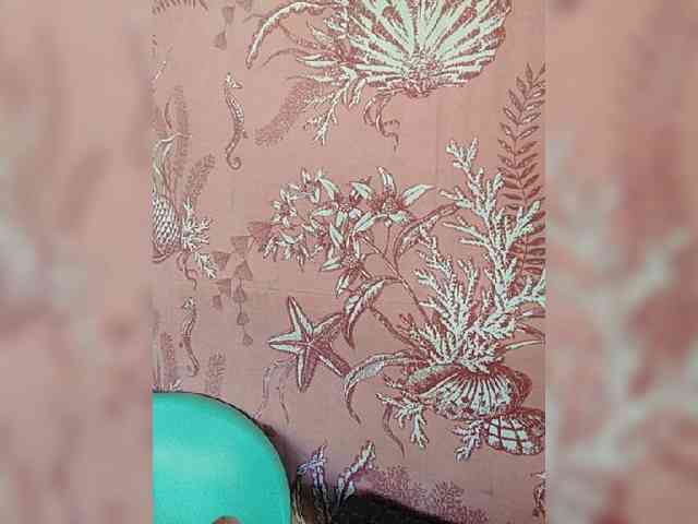 hornylittleprincess69 webcam