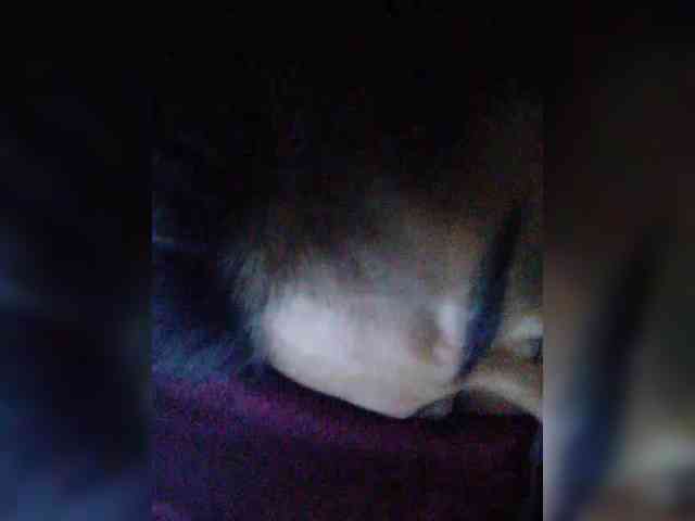 hornylittleprincess69