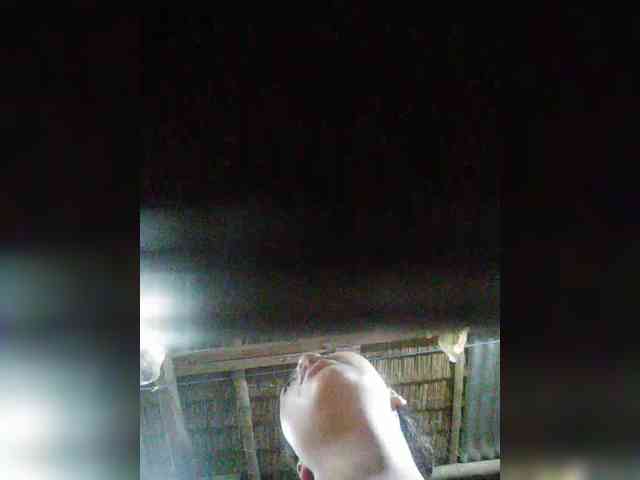 hornylittleprincess69 webcam