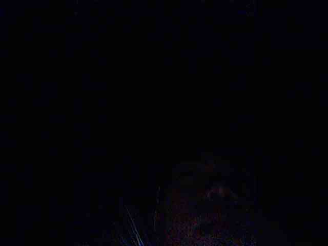 XXhornywetprincess99XX XXhornywetprincess99XX