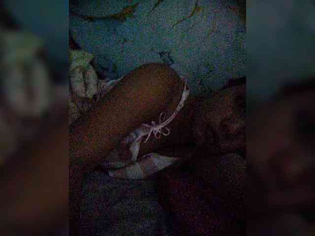 XXhornywetprincess99XX