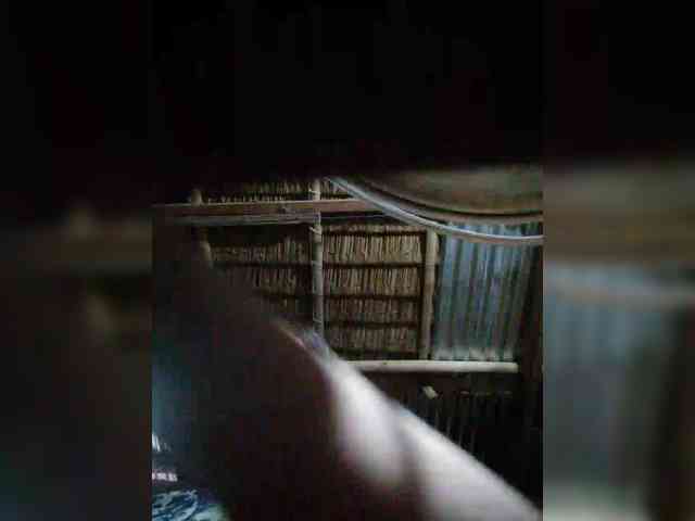 hornylittleprincess69 webcam