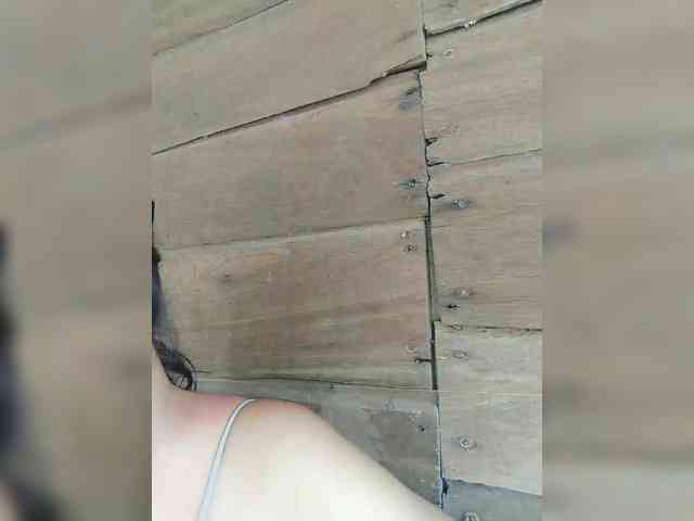 XXhornywetprincess99XX - Girl 