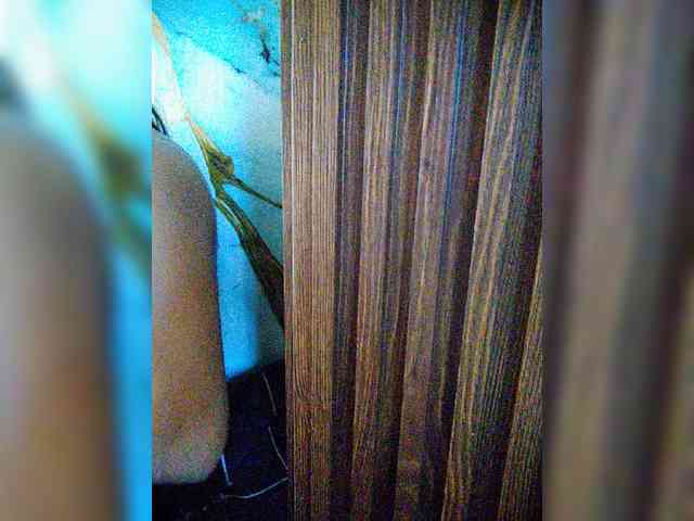 hornylittleprincess69 webcam