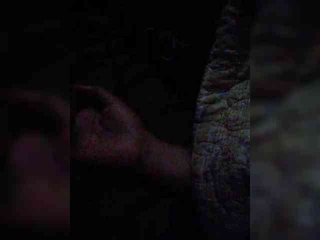 hornylittleprincess69