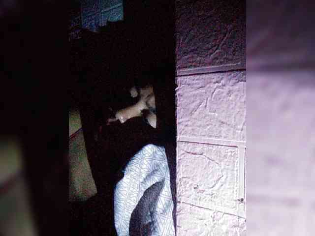 hornylittleprincess69 webcam