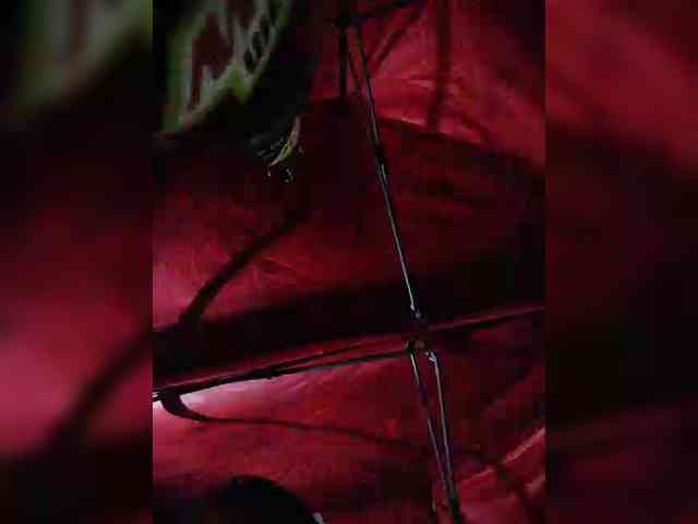 hornylittleprincess69 webcam