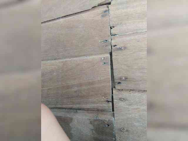 hornylittleprincess69