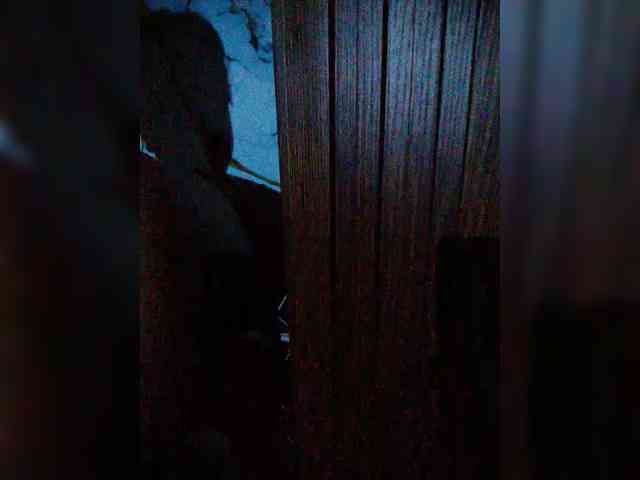 hornylittleprincess69 webcam