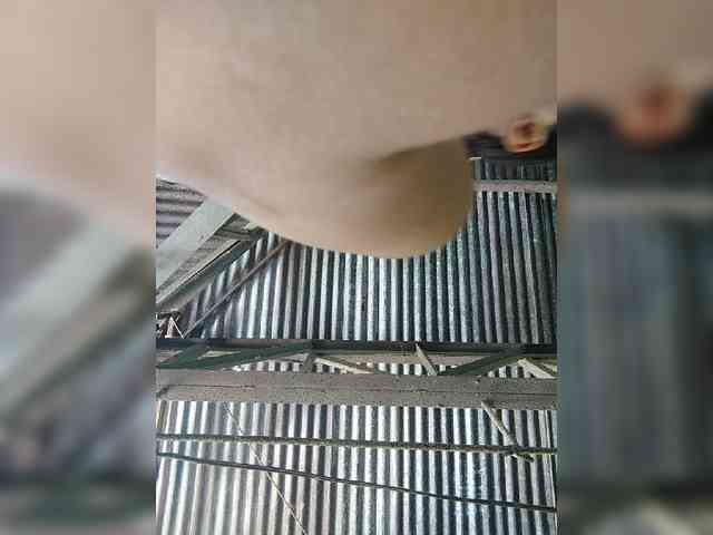 hornylittleprincess69