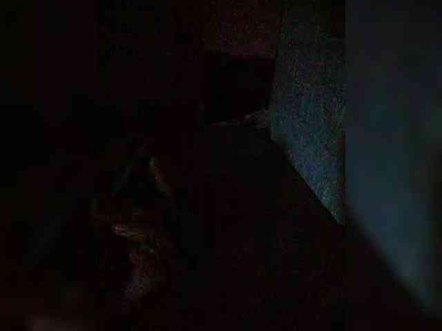 hornylittleprincess69 webcam