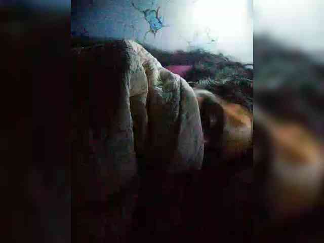 hornylittleprincess69 webcam