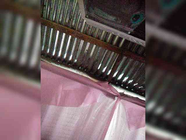 hornylittleprincess69 webcam