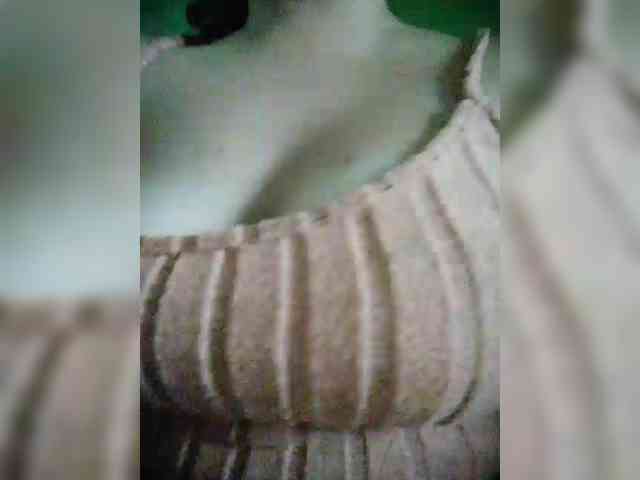 hornylittleprincess69