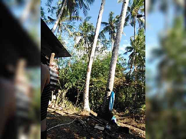 hornylittleprincess69 webcam