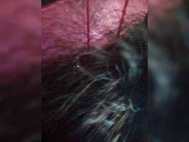 XXhornywetprincess99XX