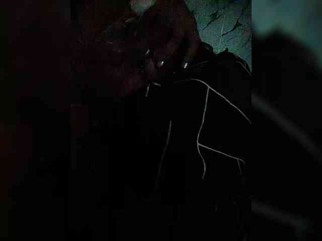 XXhornywetprincess99XX