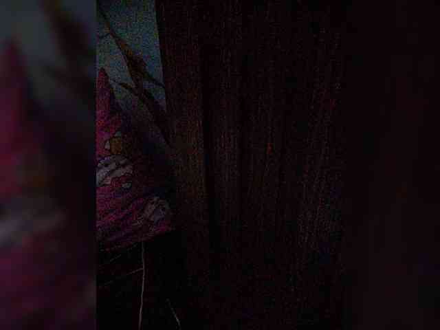 XXhornywetprincess99XX XXhornywetprincess99XX