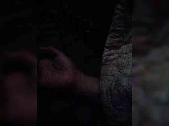 hornylittleprincess69
