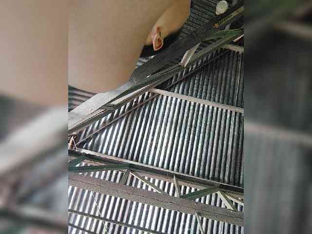 hornylittleprincess69
