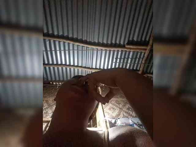 hornylittleprincess69