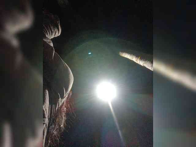 XXhornywetprincess99XX Sex Cam Show