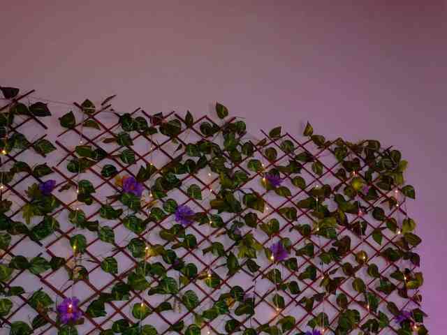 melody-cute10 webcam