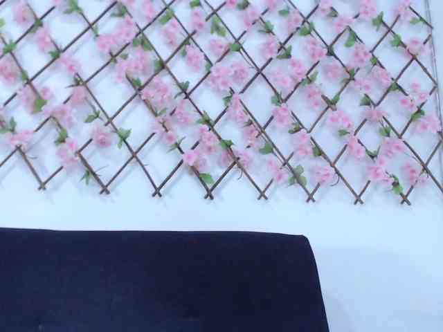 tiffany-gomez9 webcam