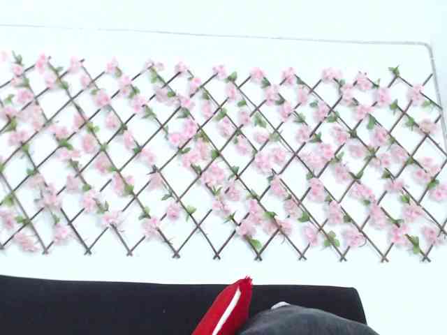 tiffany-gomez9 webcam