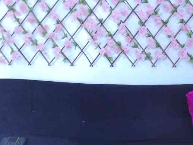 tiffany-gomez9 webcam