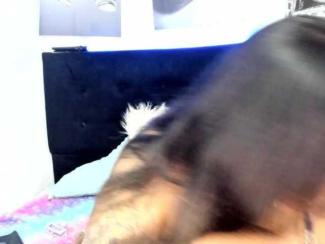 LinaBrowm live cam