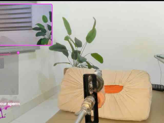 nymphonebula webcam