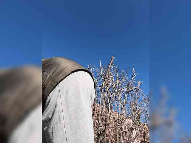 Model: Anutka-chocolatee