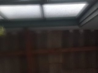 SophieSummer Porn Show