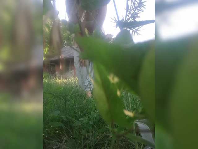 -Fiona88-