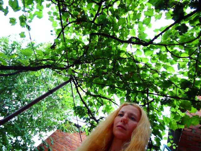 -fiona88- cam belle