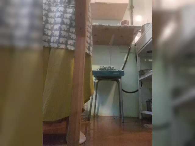 -Fiona88- live webcam show