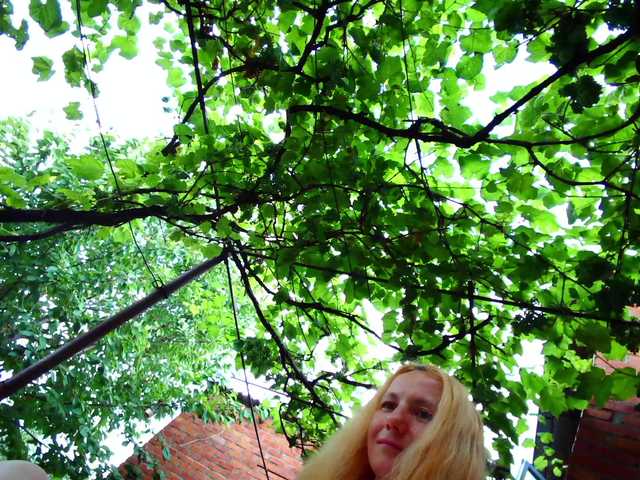 -fiona88- cam belle