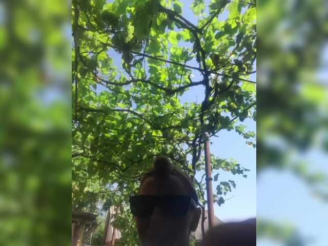 -Fiona88-