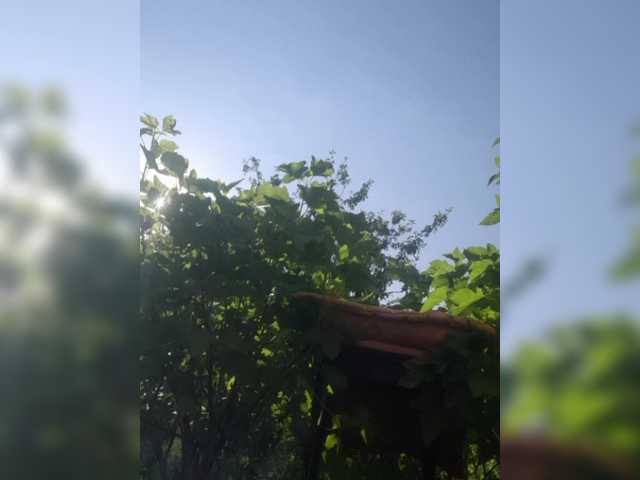 -Fiona88- live cam on BongaCams