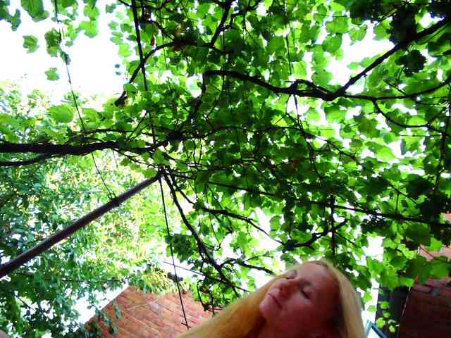 SophieSummer webcam