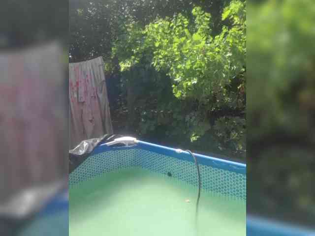 SophieSummer webcam