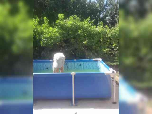 SophieSummer webcam