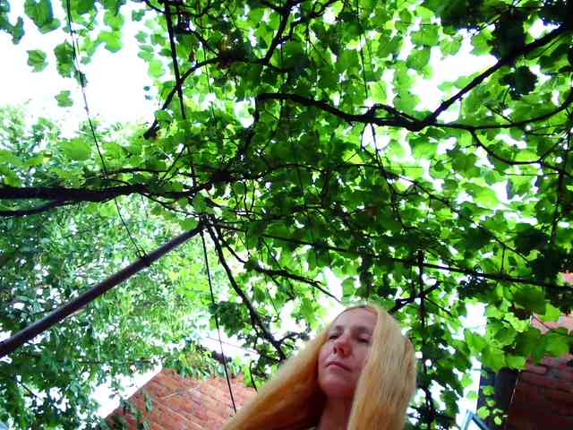SophieSummer webcam